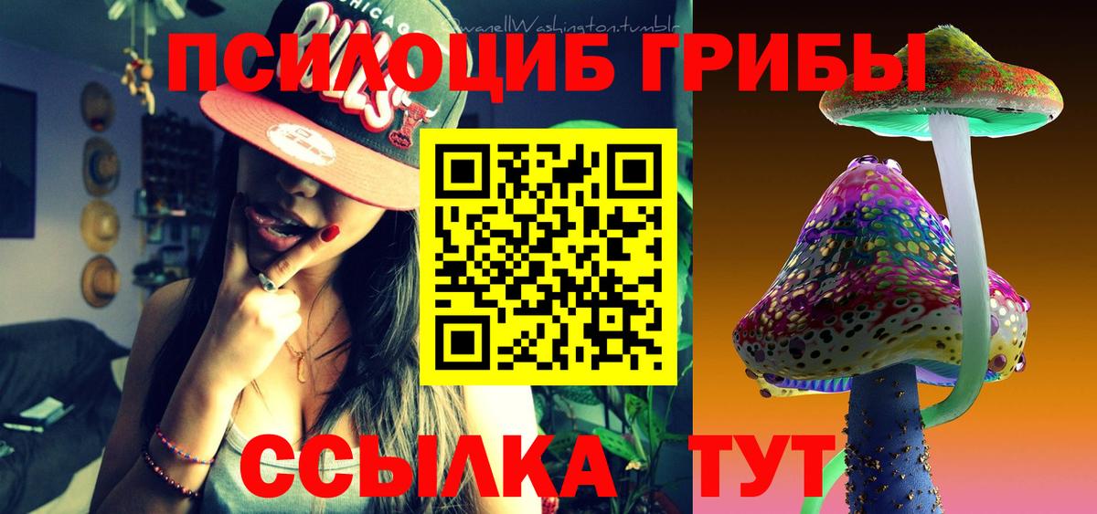 Галлюциногенные грибы Cubensis  Вход с VPN  Железногорск 