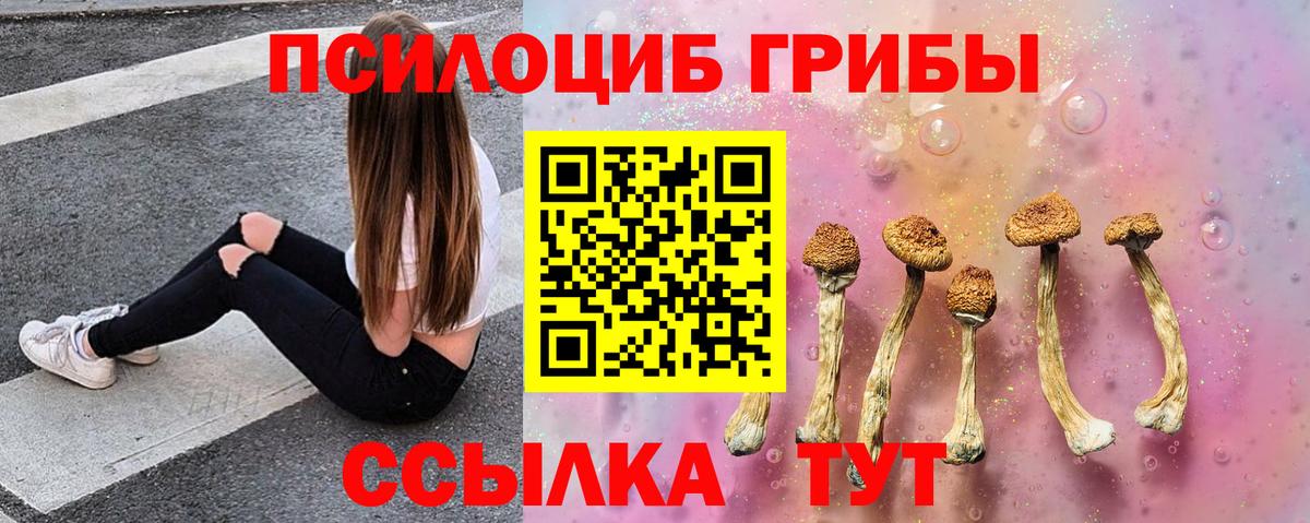 Галлюциногенные грибы Psilocybe Железногорск
