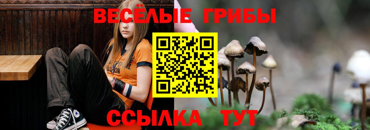  КОКАИН Железногорск
